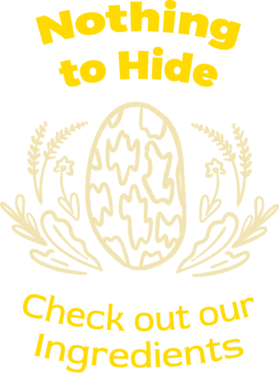 Nothing To Hide Icon